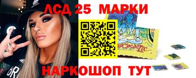 Альфа ПВП Камышлов