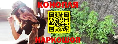 Альфа ПВП Камышлов