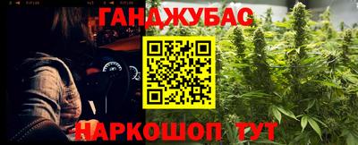 Альфа ПВП Камышлов